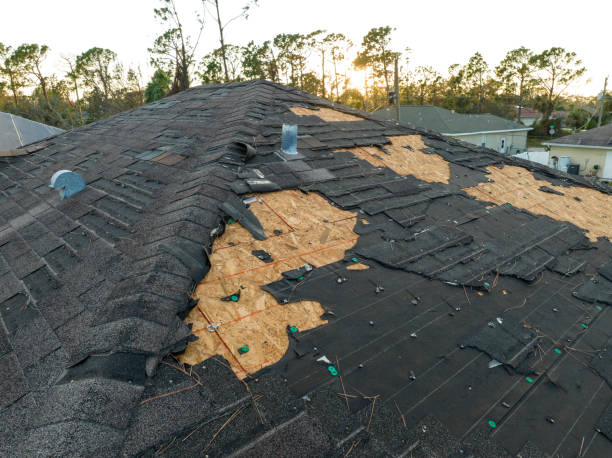 Best Rubber Roofing (EPDM, TPO)  in Negaunee, MI